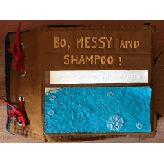�Bo, Messy and Shampoo