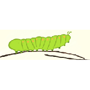 �Mr. Caterpillar
