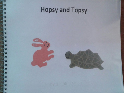 ‘Hopsy and Topsy’ - an accessible tactile story book.